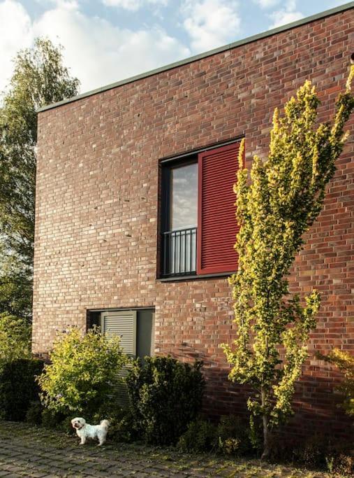 Schickes Wohnstudio Mit Garten Am Aasee Ibbenbueren Luaran gambar